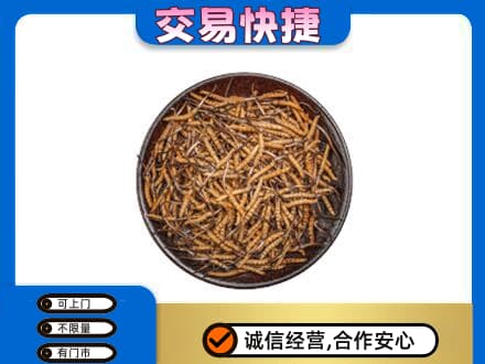 中卫市沙坡头礼品回收虫草.jpg
